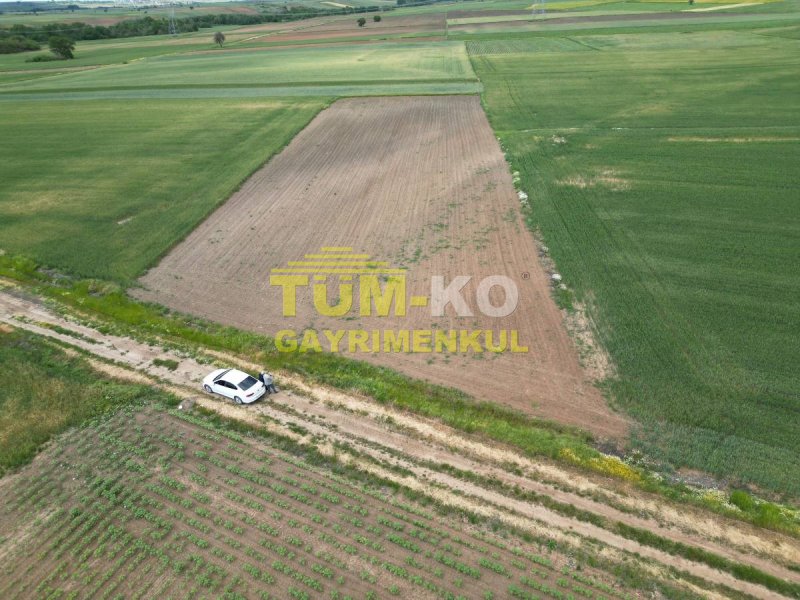 Edirne Havsa Taptık Köyünde Yatırımlık Arazi