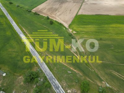 Asfalt cepheli Tarla
