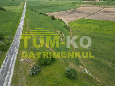 Asfalt cepheli Tarla