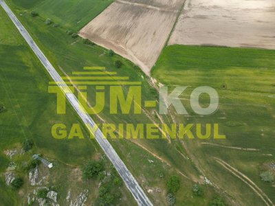 Asfalt cepheli Tarla