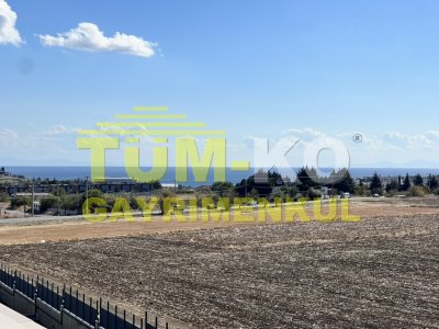 Silivri Kavaklı Aliya Konaklarında KİRALIK villa