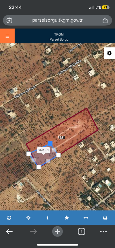 Tülmen’de 3750 m² Havadar Konumda Fıstıklık – Ev Yapımına Uygun Arazi!