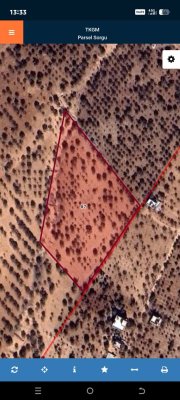 TÜLMEN'DE SATILIK FISTIKLIK (9,500 M2)