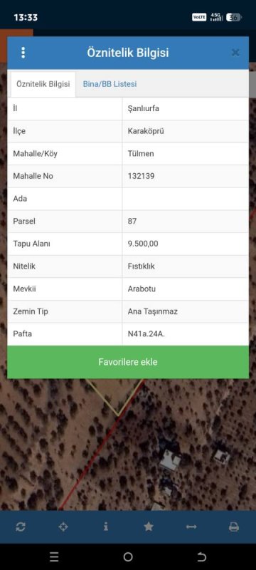 TÜLMEN'DE SATILIK FISTIKLIK (9,500 M2)
