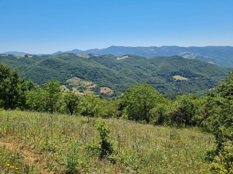 7D GAYRİMENKULDEN SATILIK  KİRAZLI  DA  MANZARALI  TARLA