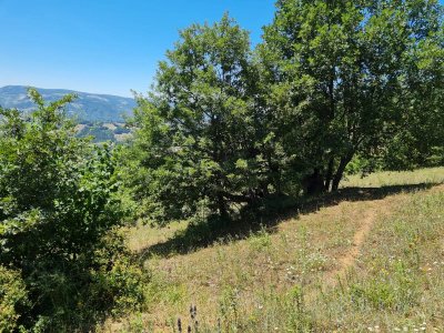 7D GAYRİMENKULDEN SATILIK  KİRAZLI  DA  MANZARALI  TARLA