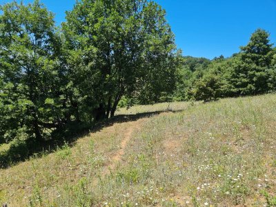 7D GAYRİMENKULDEN SATILIK  KİRAZLI  DA  MANZARALI  TARLA