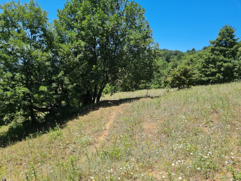 7D GAYRİMENKULDEN SATILIK  KİRAZLI  DA  MANZARALI  TARLA