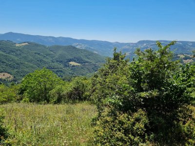 7D GAYRİMENKULDEN SATILIK  KİRAZLI  DA  MANZARALI  TARLA