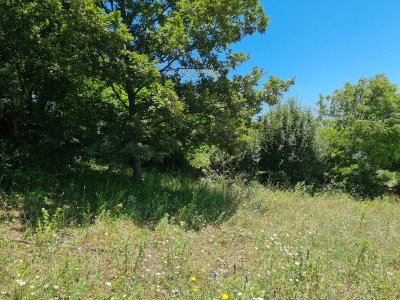 7D GAYRİMENKULDEN SATILIK  KİRAZLI  DA  MANZARALI  TARLA