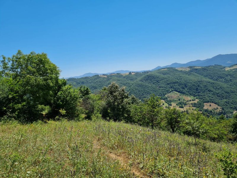 7D GAYRİMENKULDEN SATILIK  KİRAZLI  DA  MANZARALI  TARLA