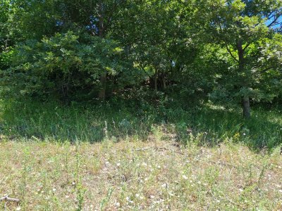 7D GAYRİMENKULDEN SATILIK  KİRAZLI  DA  MANZARALI  TARLA