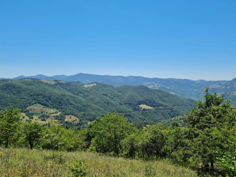 7D GAYRİMENKULDEN SATILIK  KİRAZLI  DA  MANZARALI  TARLA