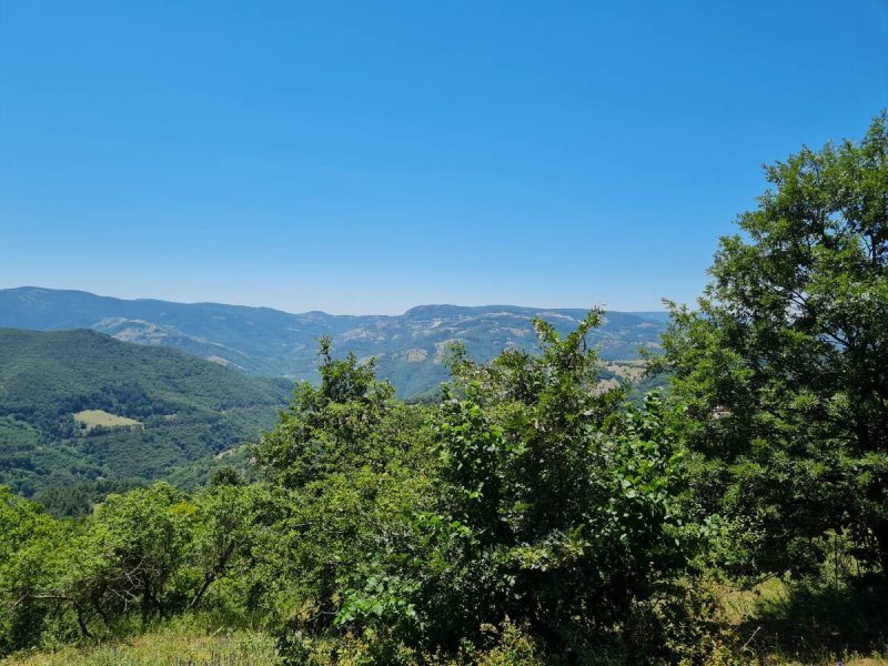 7D GAYRİMENKULDEN SATILIK  KİRAZLI  DA  MANZARALI  TARLA