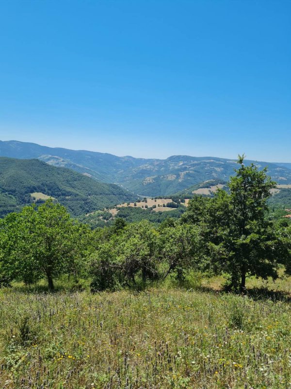 7D GAYRİMENKULDEN SATILIK  KİRAZLI  DA  MANZARALI  TARLA