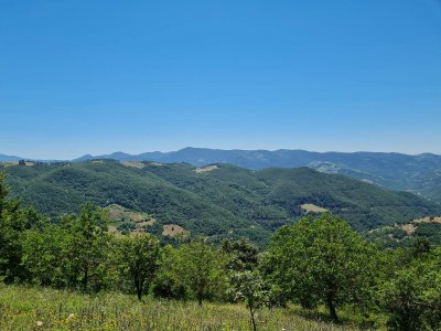 7D GAYRİMENKULDEN SATILIK  KİRAZLI  DA  MANZARALI  TARLA