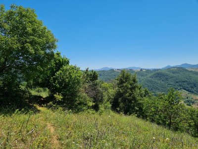 7D GAYRİMENKULDEN SATILIK  KİRAZLI  DA  MANZARALI  TARLA