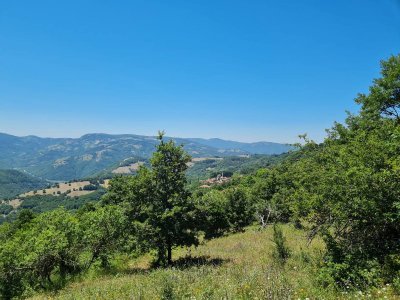 7D GAYRİMENKULDEN SATILIK  KİRAZLI  DA  MANZARALI  TARLA