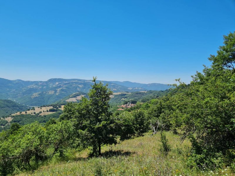 7D GAYRİMENKULDEN SATILIK  KİRAZLI  DA  MANZARALI  TARLA