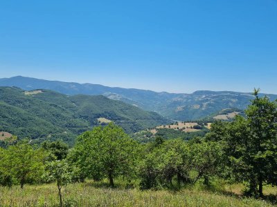 7D GAYRİMENKULDEN SATILIK  KİRAZLI  DA  MANZARALI  TARLA