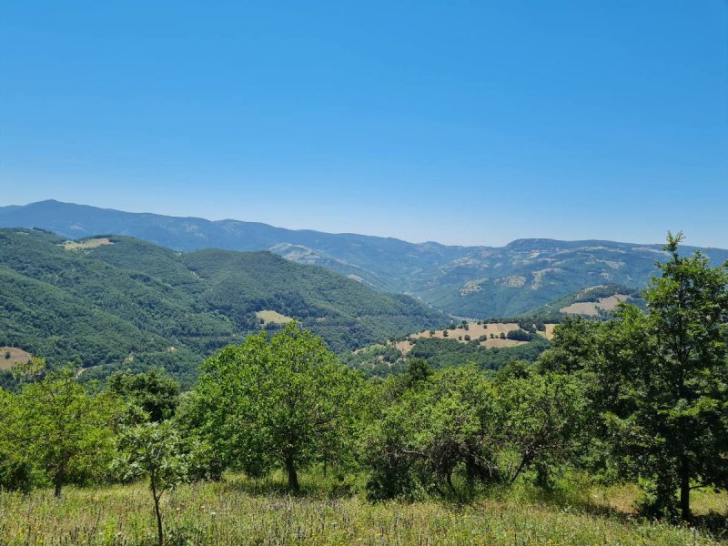 7D GAYRİMENKULDEN SATILIK  KİRAZLI  DA  MANZARALI  TARLA