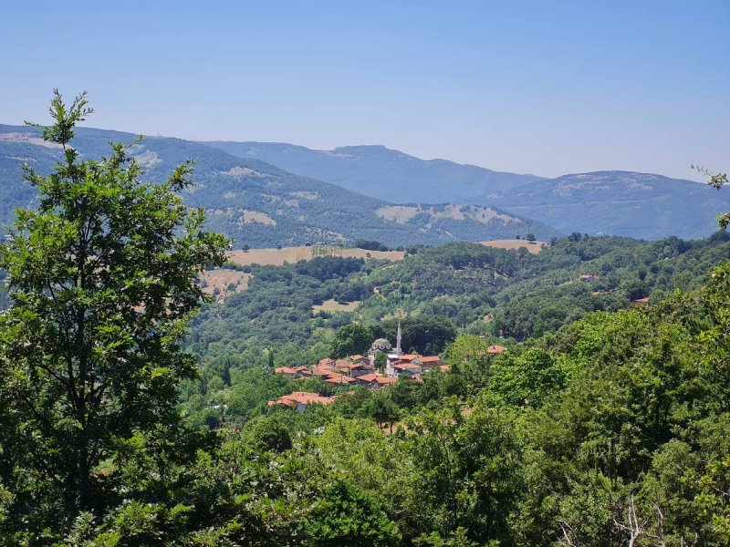 7D GAYRİMENKULDEN SATILIK  KİRAZLI  DA  MANZARALI  TARLA