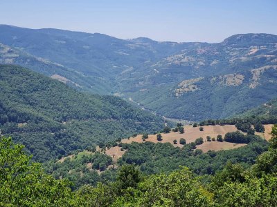 7D GAYRİMENKULDEN SATILIK  KİRAZLI  DA  MANZARALI  TARLA