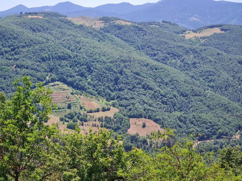 7D GAYRİMENKULDEN SATILIK  KİRAZLI  DA  MANZARALI  TARLA