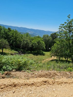 7D GAYRİMENKULDEN SATILIK  KİRAZLI  DA  MANZARALI  TARLA