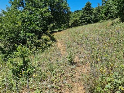 7D GAYRİMENKULDEN SATILIK  KİRAZLI  DA  MANZARALI  TARLA