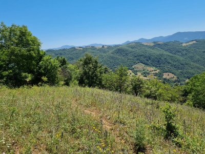 7D GAYRİMENKULDEN SATILIK  KİRAZLI  DA  MANZARALI  TARLA