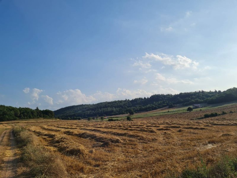 7D GAYRİMENKULDEN SATILIK  YENİŞEHİR DE TARLA