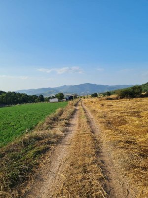 7D GAYRİMENKULDEN SATILIK  YENİŞEHİR DE TARLA