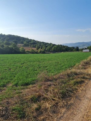 7D GAYRİMENKULDEN SATILIK  YENİŞEHİR DE TARLA