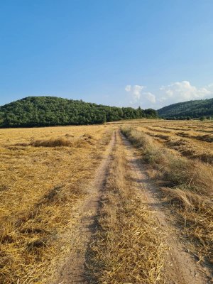 7D GAYRİMENKULDEN SATILIK  YENİŞEHİR DE TARLA