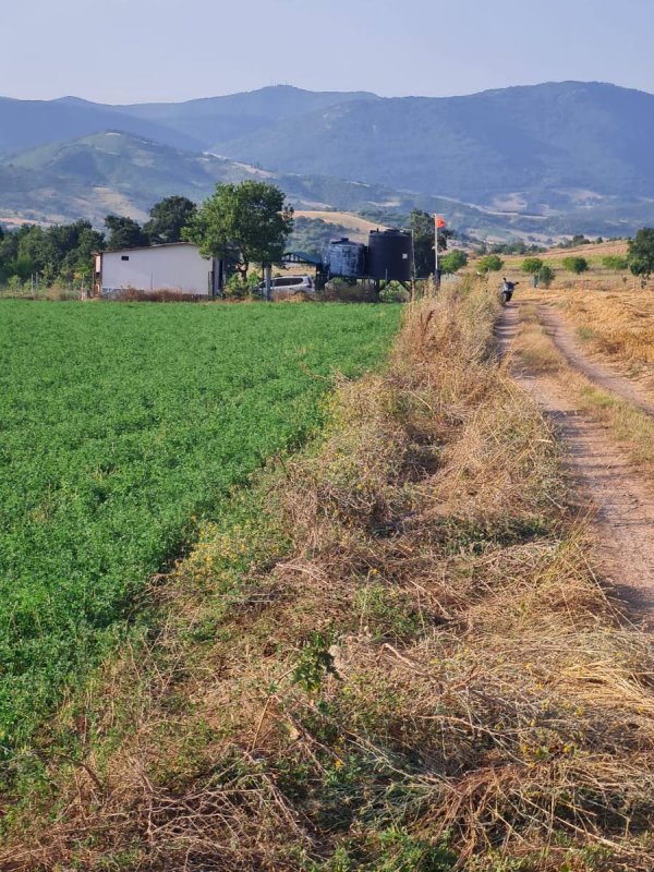 7D GAYRİMENKULDEN SATILIK  YENİŞEHİR DE TARLA