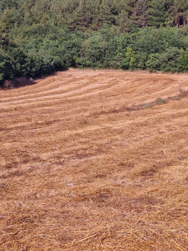 7D GAYRİMENKULDEN SATILIK  YENİŞEHİR DE TARLA