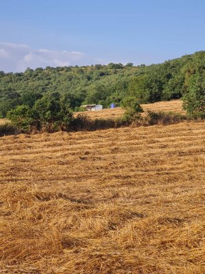 7D GAYRİMENKULDEN SATILIK  YENİŞEHİR DE TARLA