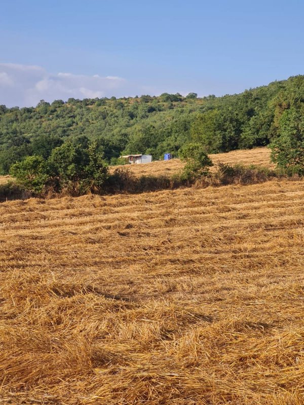 7D GAYRİMENKULDEN SATILIK  YENİŞEHİR DE TARLA