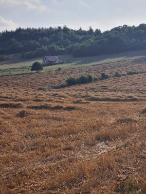 7D GAYRİMENKULDEN SATILIK  YENİŞEHİR DE TARLA