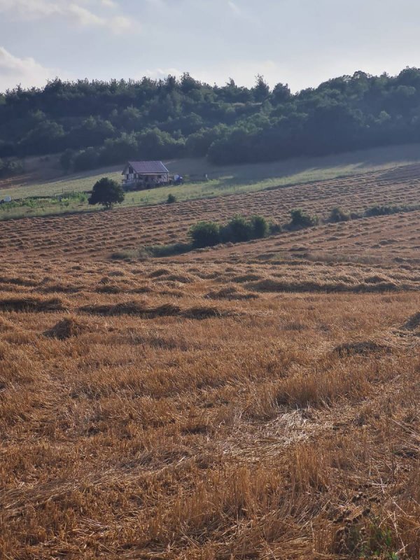 7D GAYRİMENKULDEN SATILIK  YENİŞEHİR DE TARLA