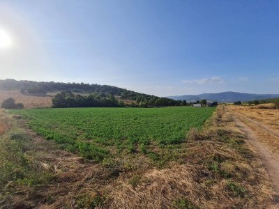 7D GAYRİMENKULDEN SATILIK  YENİŞEHİR DE TARLA