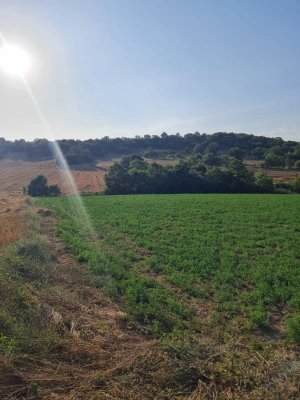 7D GAYRİMENKULDEN SATILIK  YENİŞEHİR DE TARLA