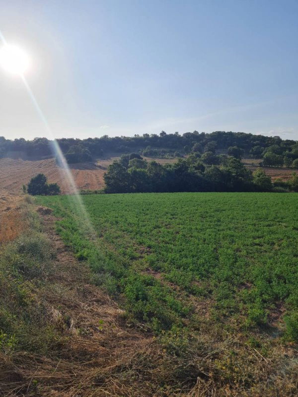 7D GAYRİMENKULDEN SATILIK  YENİŞEHİR DE TARLA