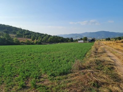 7D GAYRİMENKULDEN SATILIK  YENİŞEHİR DE TARLA