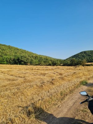 7D GAYRİMENKULDEN SATILIK  YENİŞEHİR DE TARLA