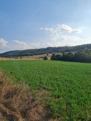 7D GAYRİMENKULDEN SATILIK  YENİŞEHİR DE TARLA