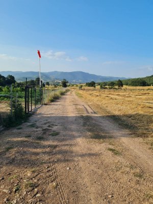 7D GAYRİMENKULDEN SATILIK  YENİŞEHİR DE TARLA