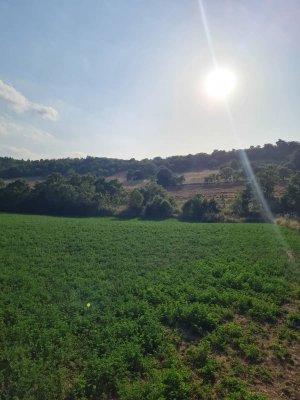 7D GAYRİMENKULDEN SATILIK  YENİŞEHİR DE TARLA