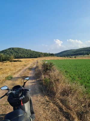 7D GAYRİMENKULDEN SATILIK  YENİŞEHİR DE TARLA